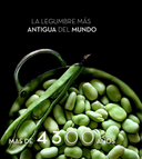 Baby Fava Beans - La Catedral de Navarra